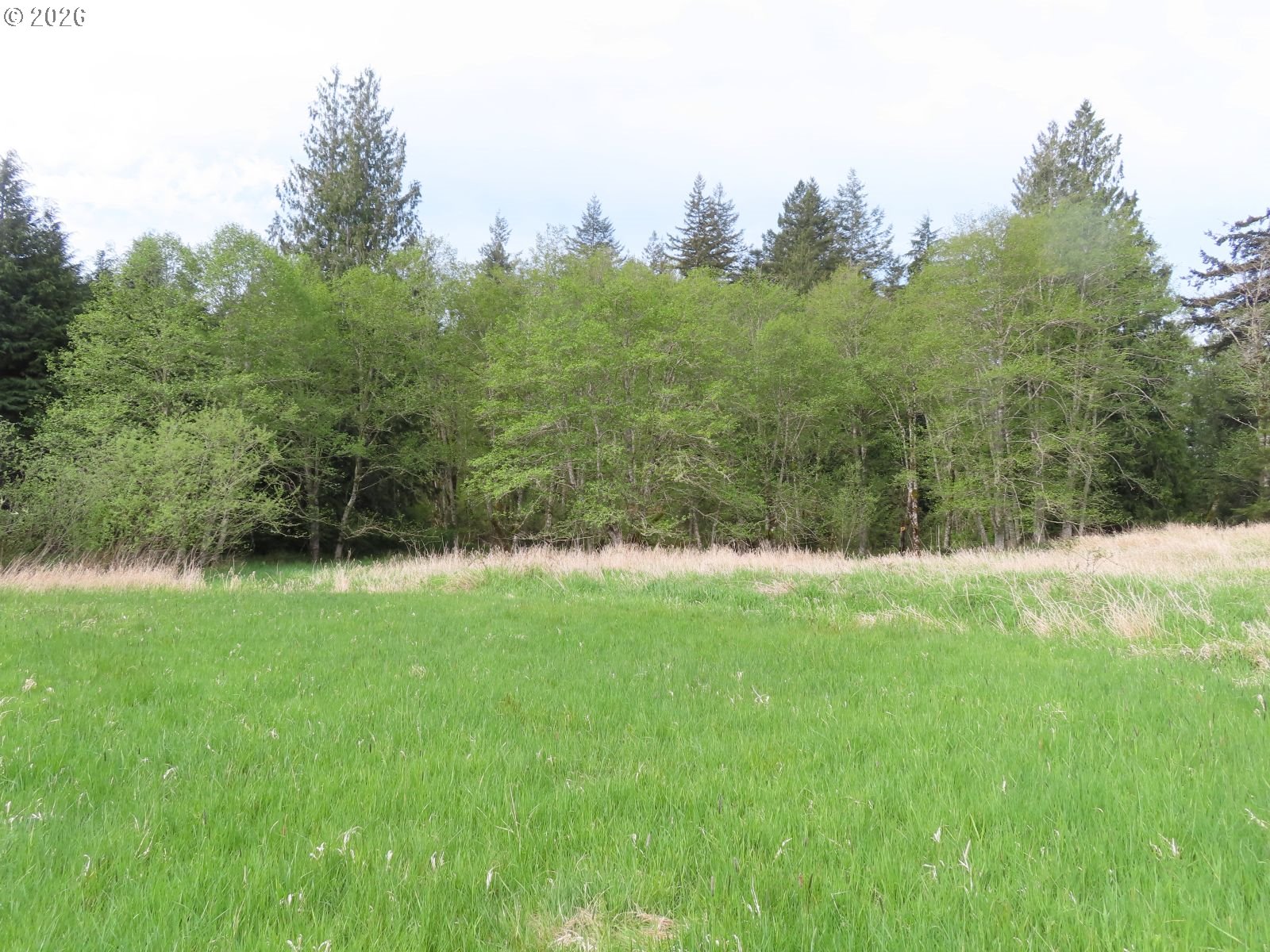 Hagen Road Mossyrock, WA 98564 - Photo 29 of 29