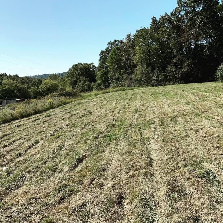 4880 Lylewood Road Indian Mound, TN 37079 - Photo 29 of 32 Gallery Image 29