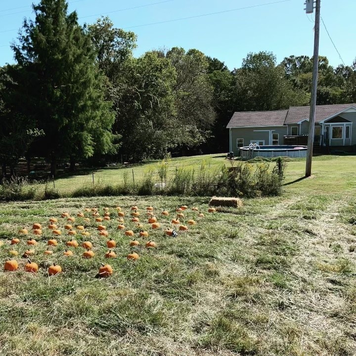 4880 Lylewood Road Indian Mound, TN 37079 - Photo 30 of 32 Gallery Image 30
