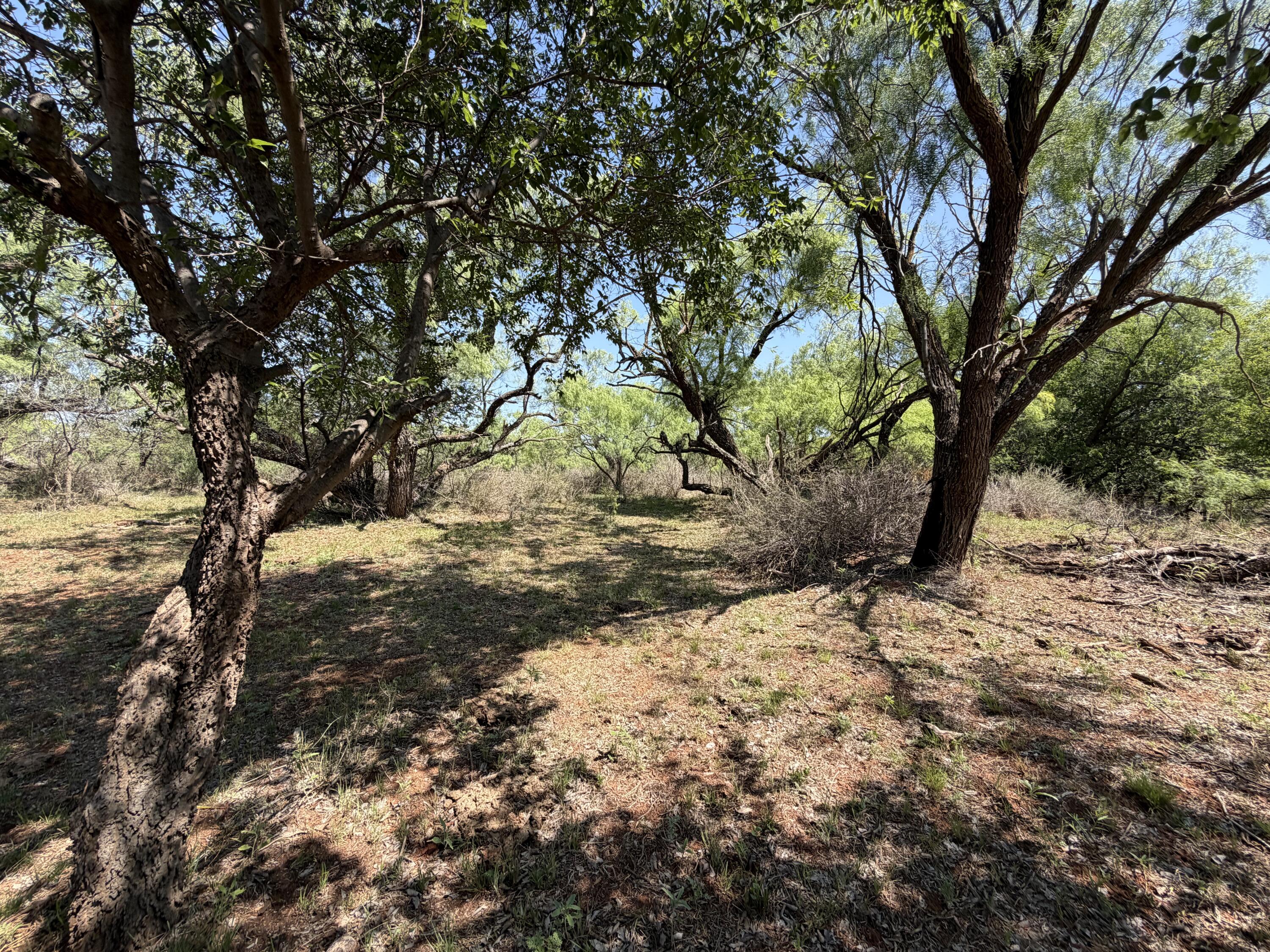 92 Texas Hamlin, TX 79520 - Photo 62 of 63 IMG_1862