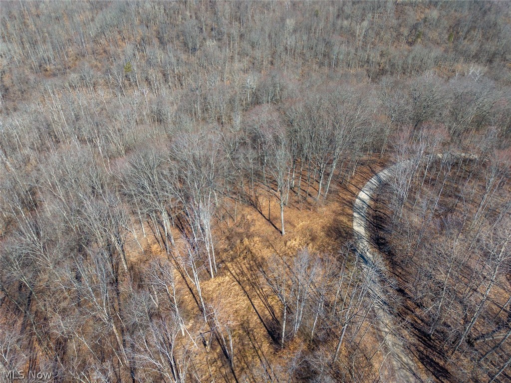 0 Clem Garvin Road Caldwell, OH 43724 - Photo 41 of 50 Aerial view of a forest