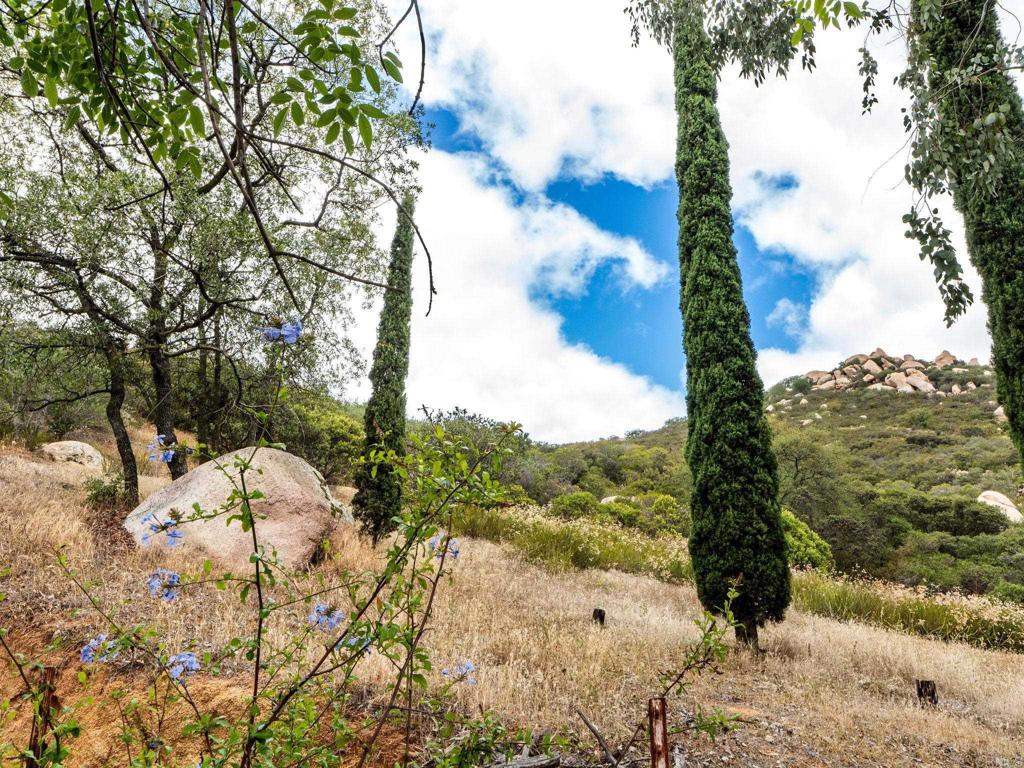 17566 Lyons Valley Road Jamul, CA 91935 - Photo 34 of 64