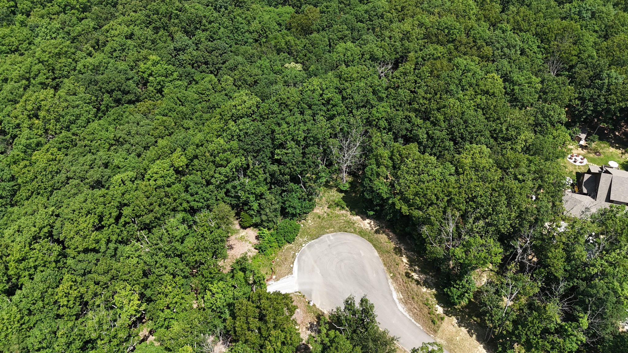0 Brow Road Pelham, TN 37366 - Photo 17 of 32 a view of a forest with a tree