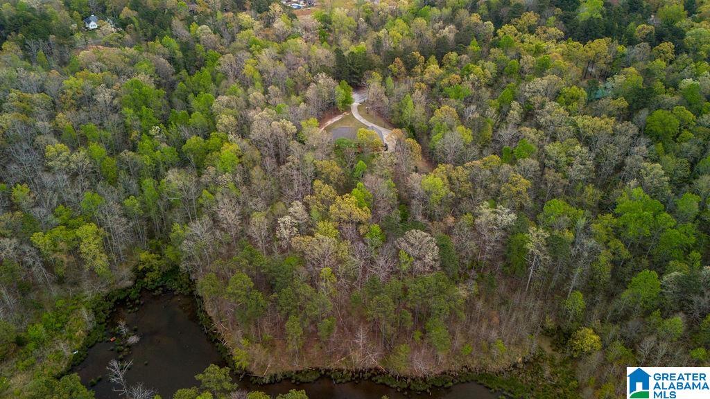 87 Timberline Circle Jasper, AL 35504 - Photo 53 of 55