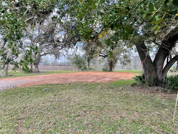 a view of backyard with tree