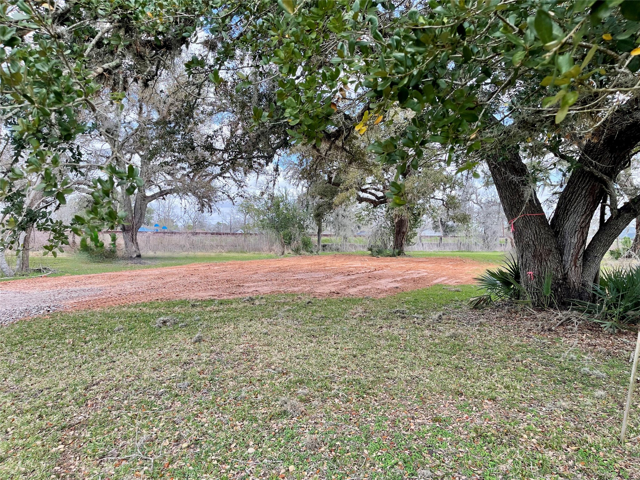 0 Travis Avenue Sweeny, TX 77480 - Photo 12 of 13 a view of backyard with tree