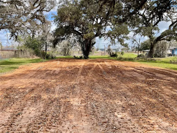 a view of yard with tree s