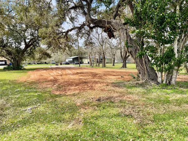 a view of yard with trees