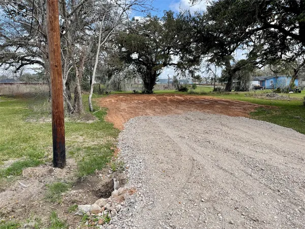 a view of a tree in a yard