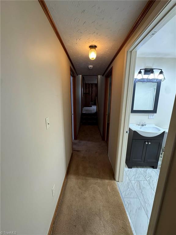 12544 Traphill Road Traphill, NC 28685 - Photo 20 of 50