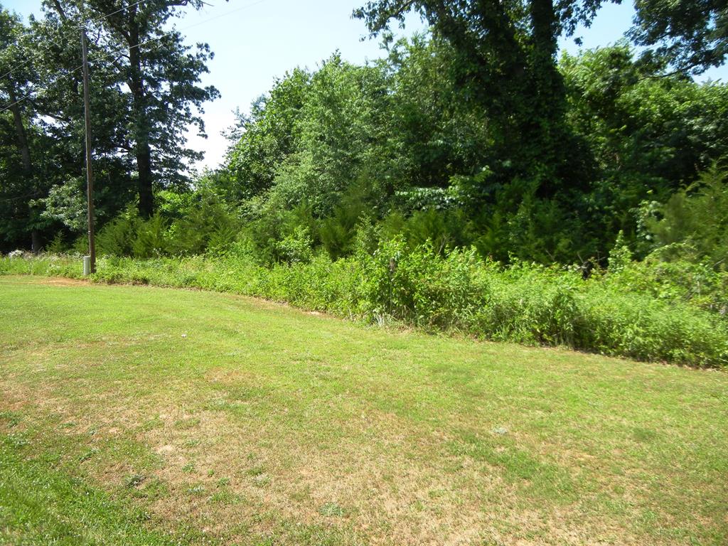 Whorley Town Road Buckingham, VA 23921 - Photo 1 of 9 Gallery Image 1