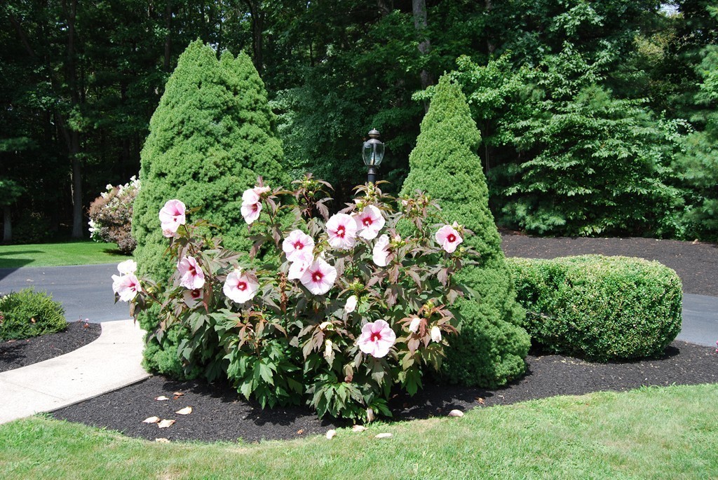 19 Old Town Road Walpole, MA 02081 - Photo 26 of 30 Gallery Image 26