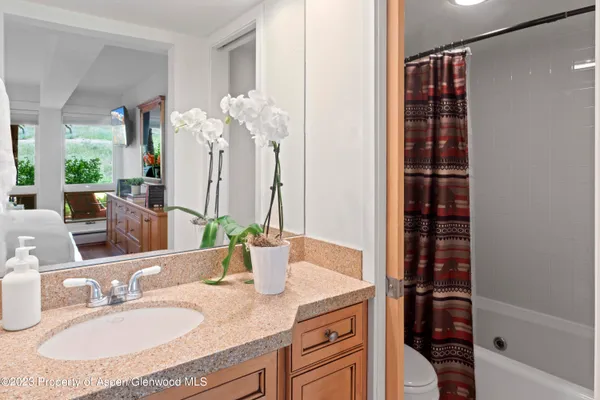 a bathroom with a granite countertop sink a toilet and shower