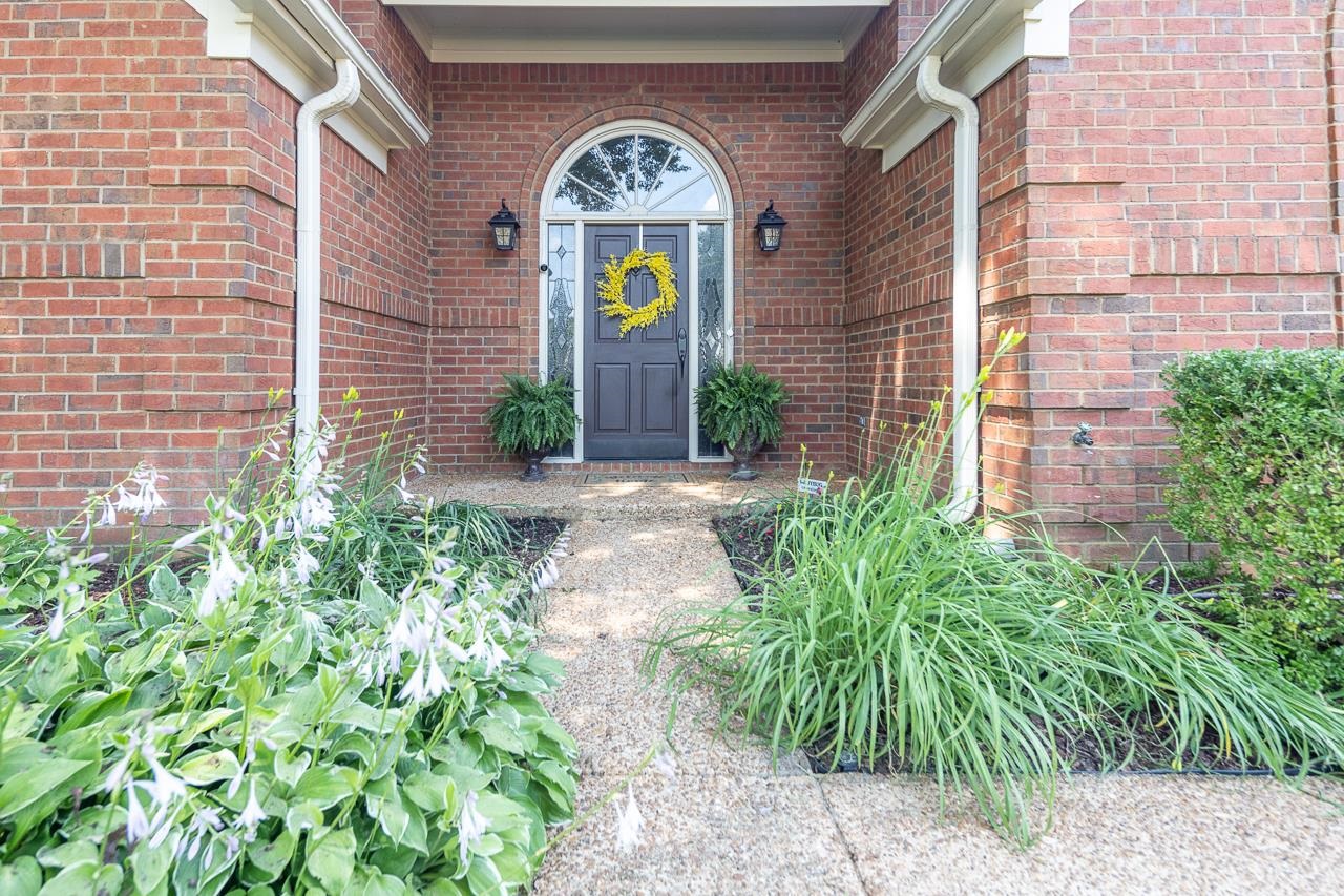905 Grapevine Drive Collierville, TN 38017 - Photo 3 of 25 a front view of a multi story residential apartment building with a yard