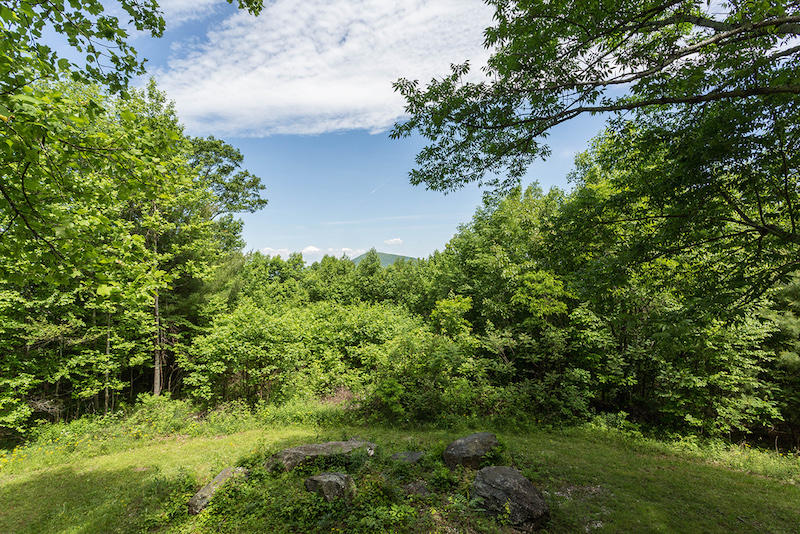 1577 Shelor Road Southwest Meadows Of Dan, VA 24120 - Photo 30 of 38 DGA_2449