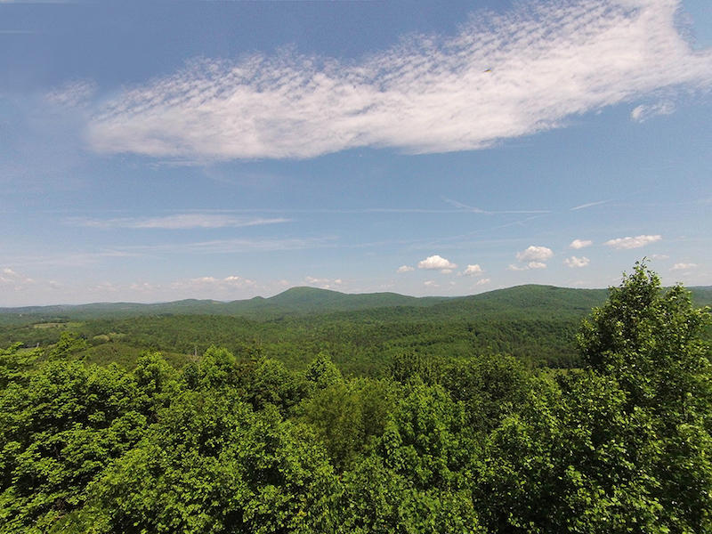 1577 Shelor Road Southwest Meadows Of Dan, VA 24120 - Photo 38 of 38 DGA_2457