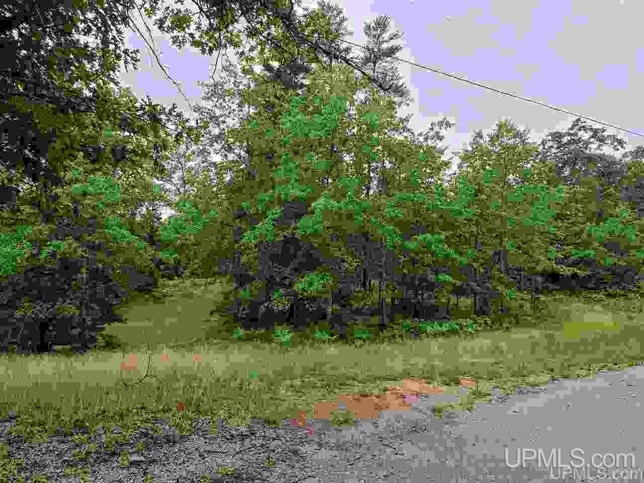 Tbd Schaawe Lake 24th Road Gladstone, MI 49837 - Photo 1 of 1