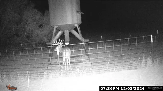 a view of a lake with a yard