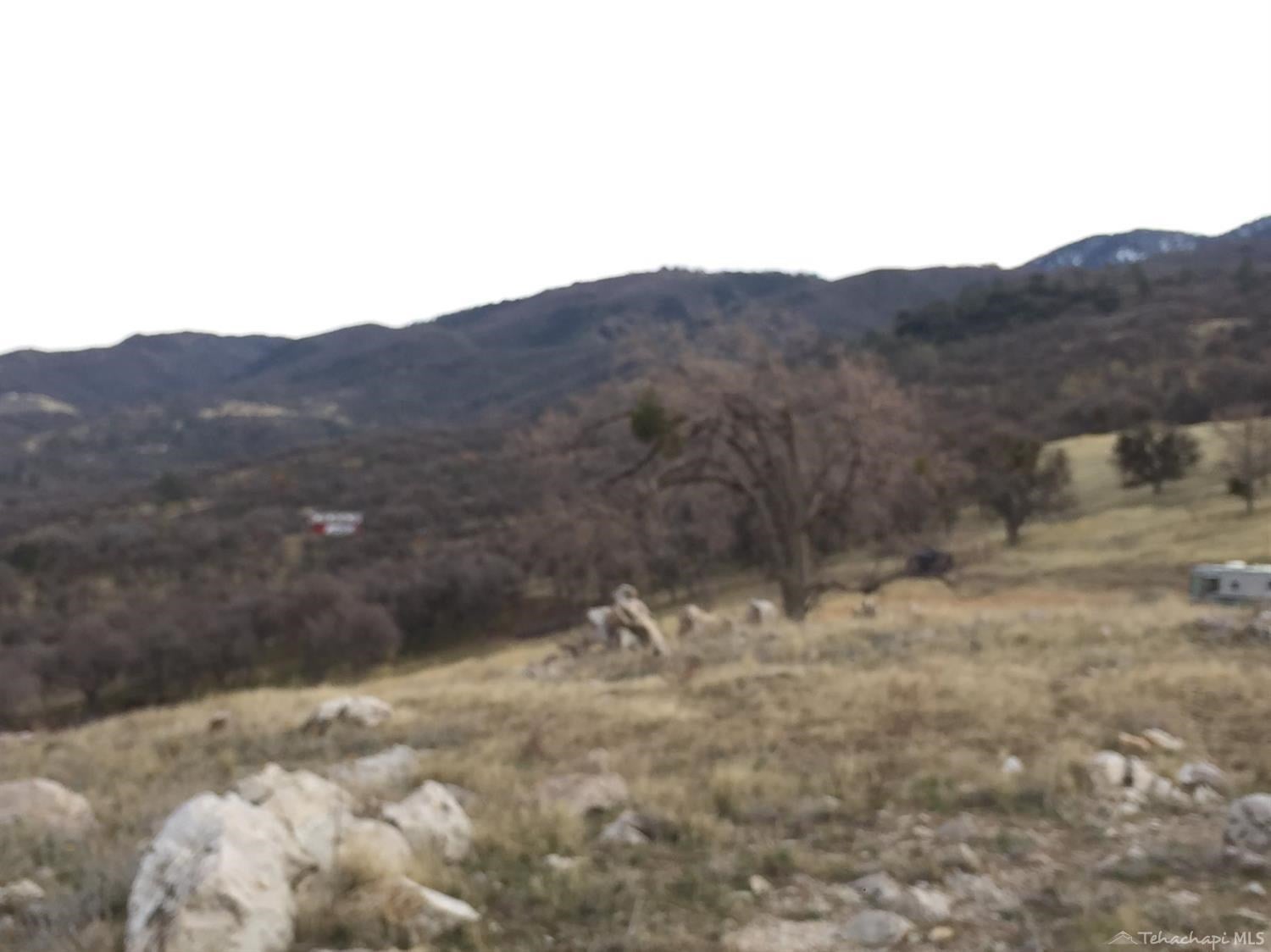 19774 Banducci Road Tehachapi, CA 93561 - Photo 16 of 21 Gallery Image 16