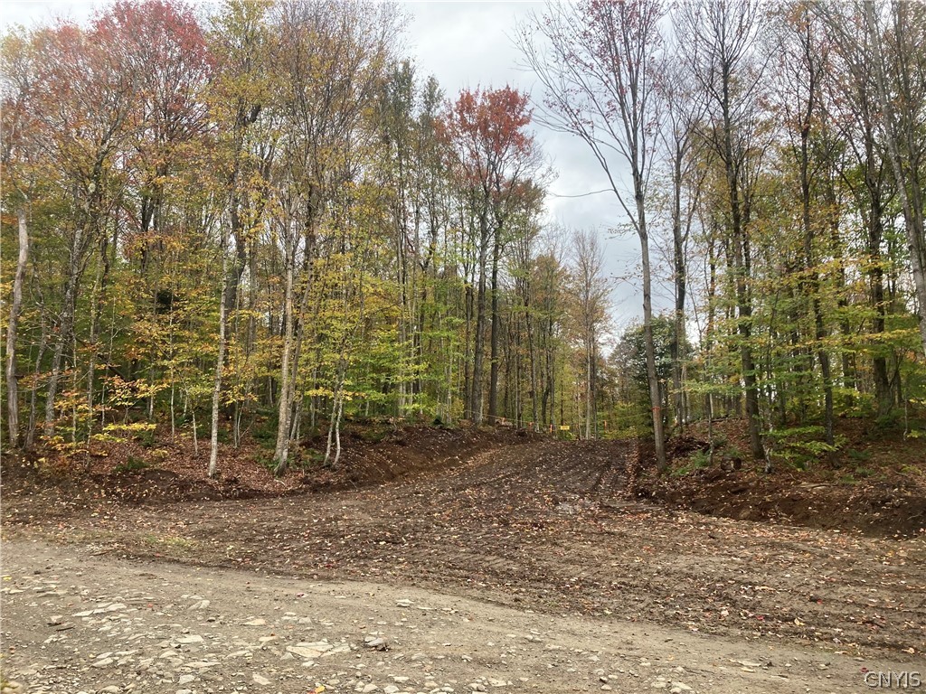 Olin Road Lowville, NY 13367 - Photo 3 of 5 looking in driveway from Olin Rd