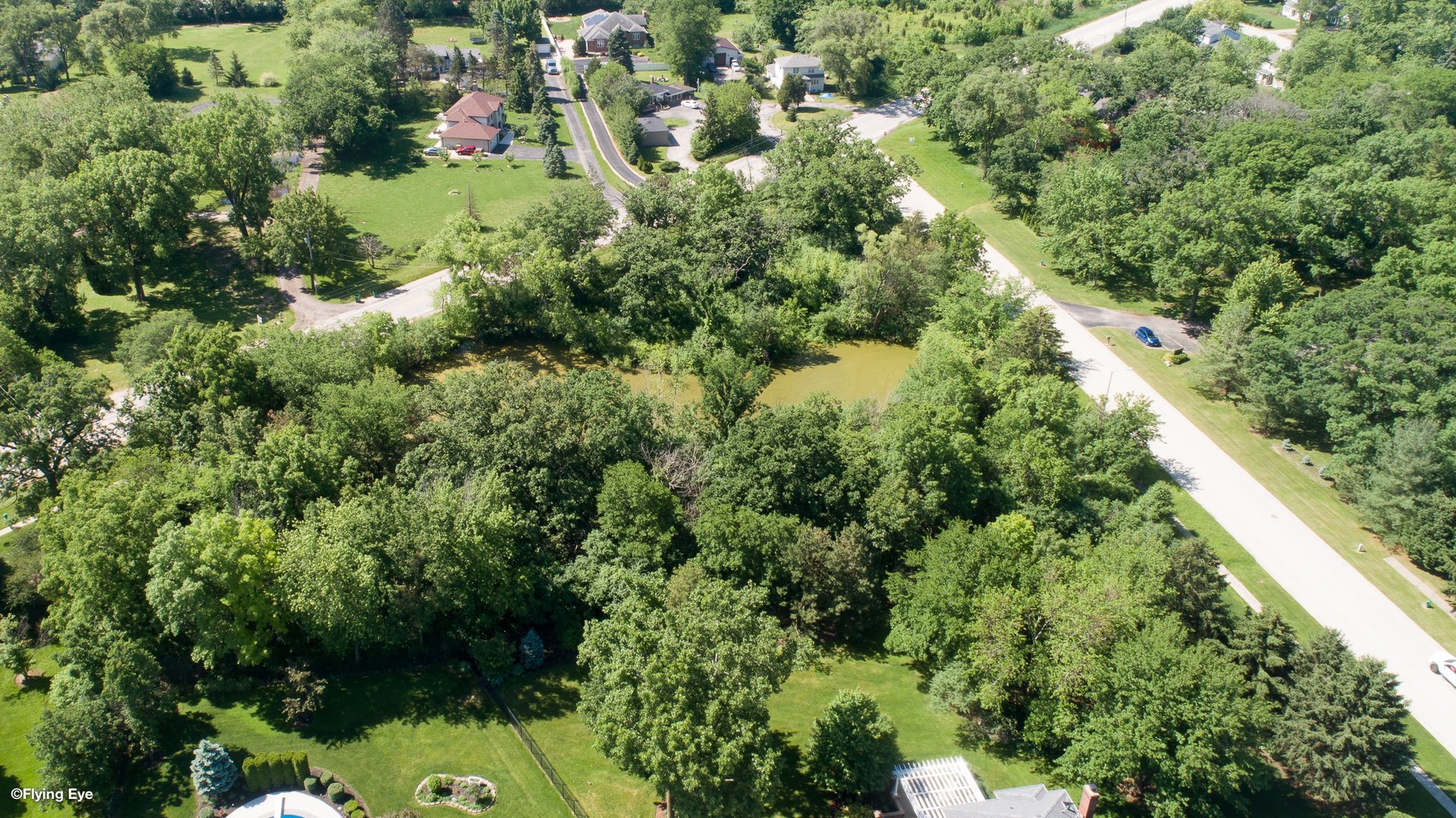 an aerial view of residential houses with outdoor space and trees