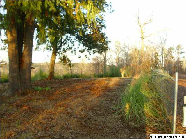2993 County Road 520, Unit 1 Verbena, AL 36091 - Photo 3 of 7