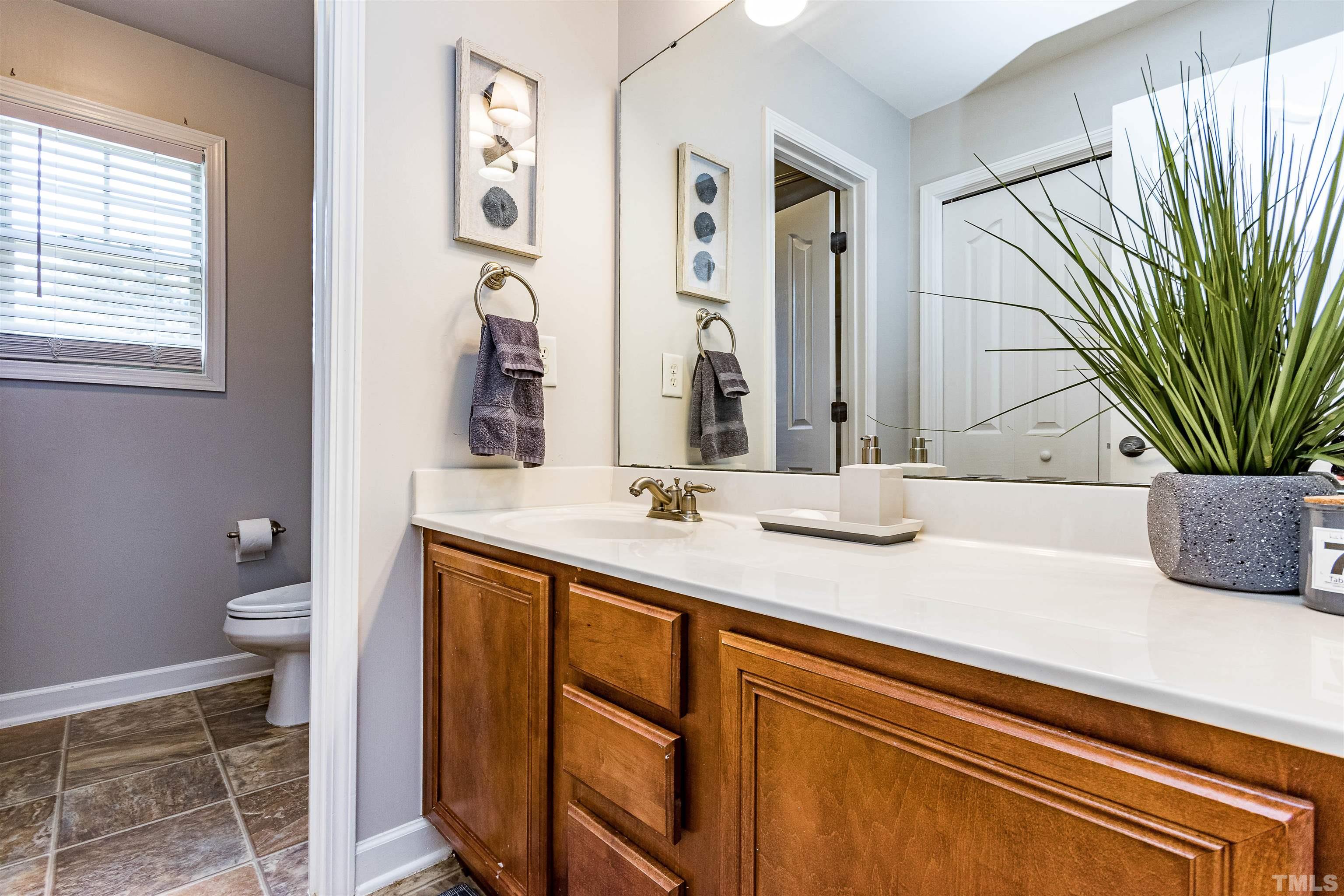 9009 Cornwell Drive Wake Forest, NC 27587 - Photo 19 of 36 a bathroom with a sink a toilet and mirror