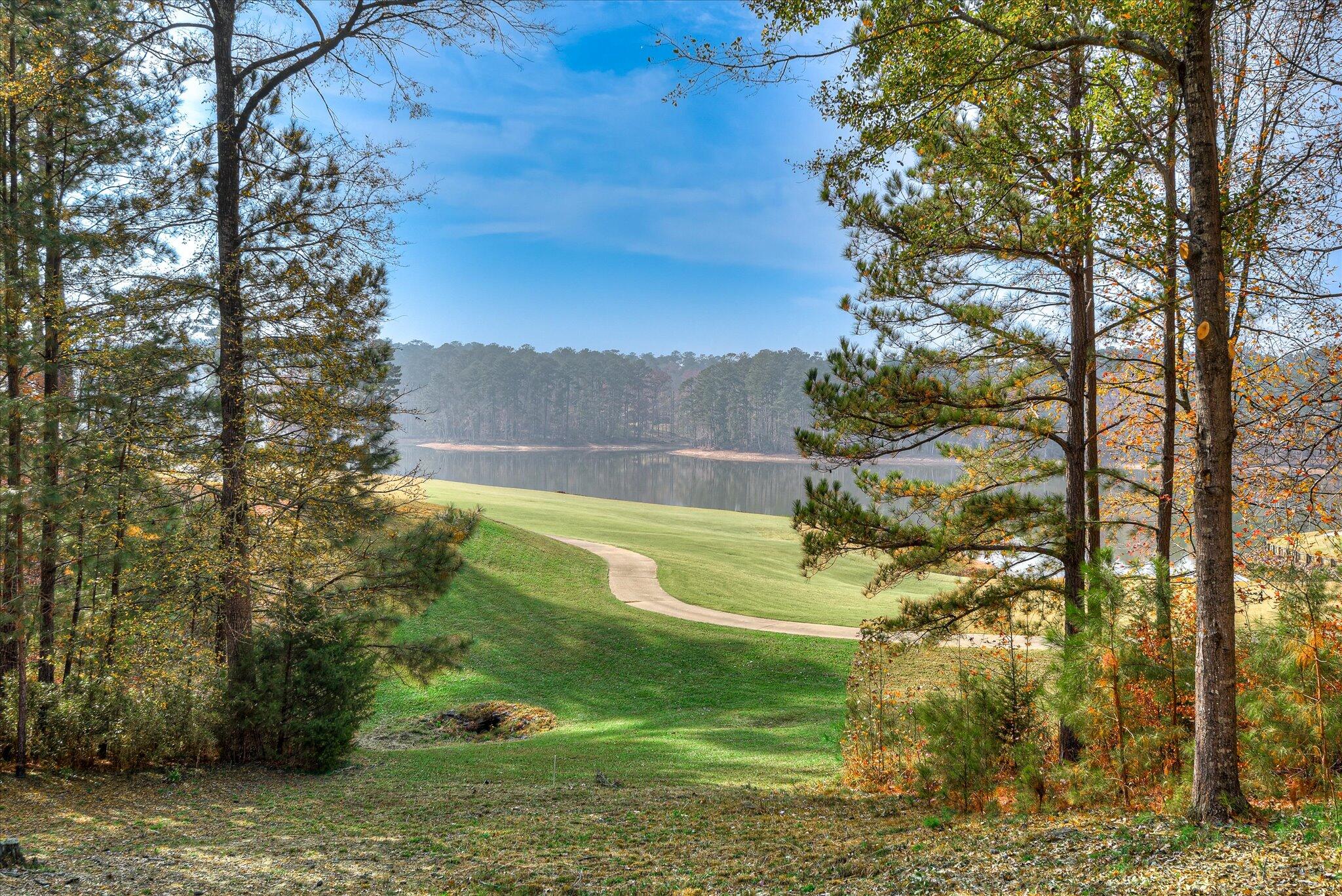 310 Katie Lane McCormick, SC 29835 - Photo 6 of 66 60-160