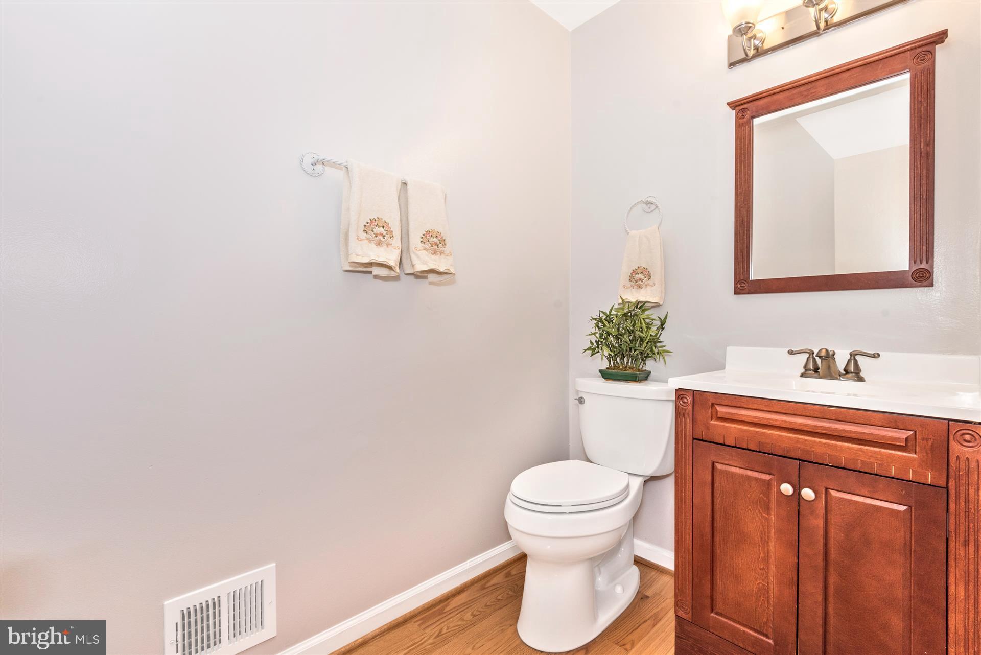 9713 Dixie Ridge Terrace Gaithersburg, MD 20882 - Photo 11 of 30 Bath