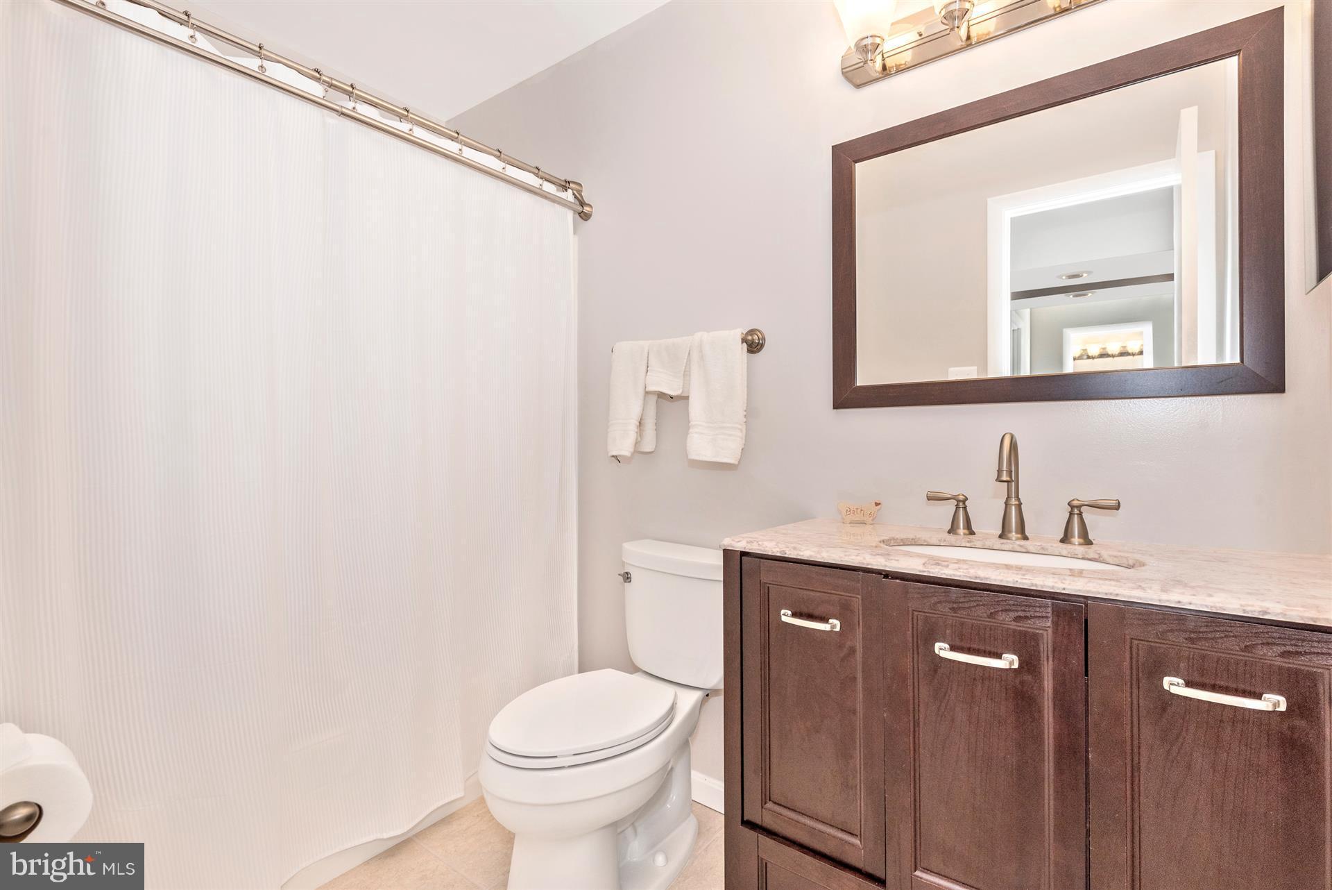 9713 Dixie Ridge Terrace Gaithersburg, MD 20882 - Photo 16 of 30 Bath (Master)
