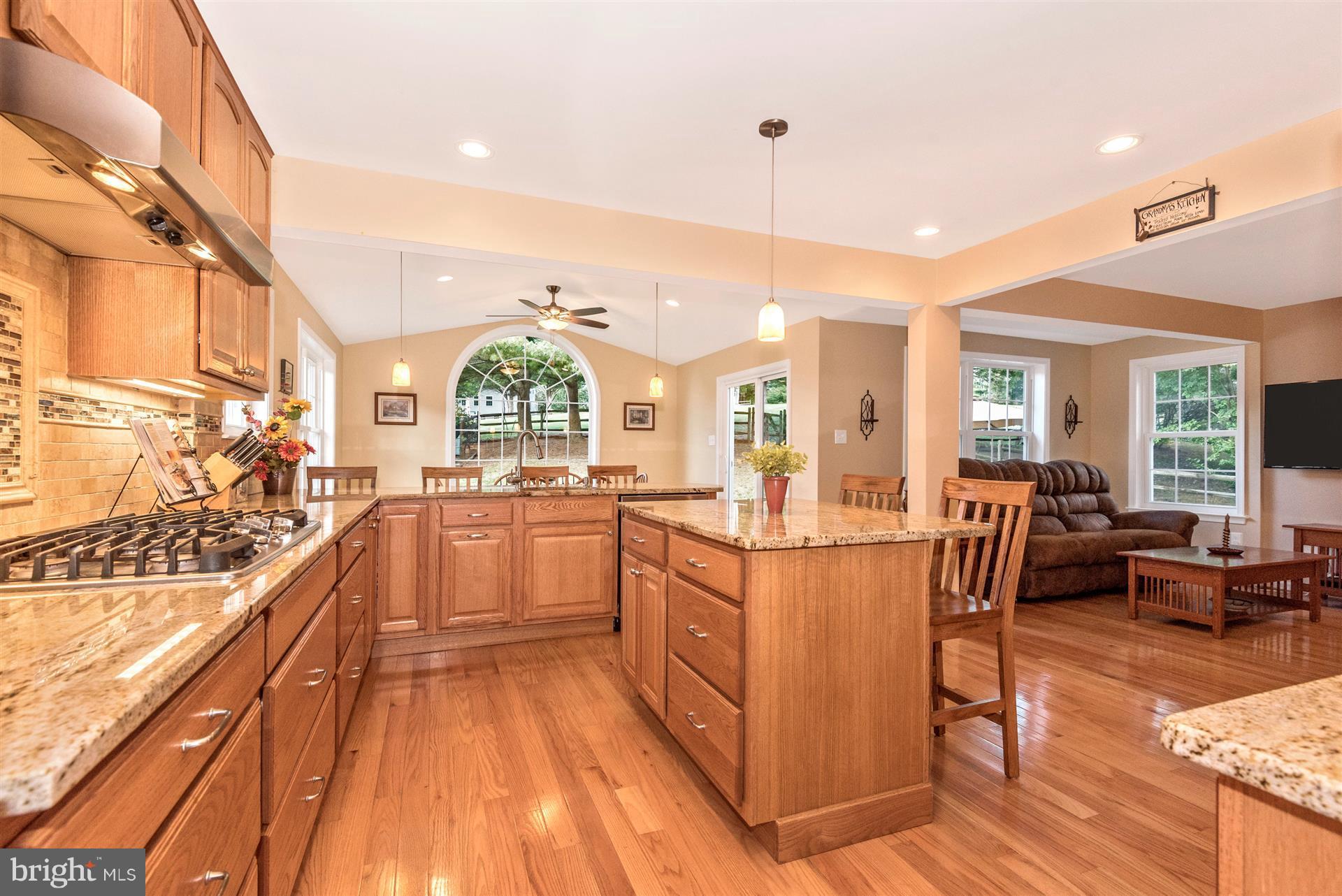 9713 Dixie Ridge Terrace Gaithersburg, MD 20882 - Photo 6 of 30 Kitchen