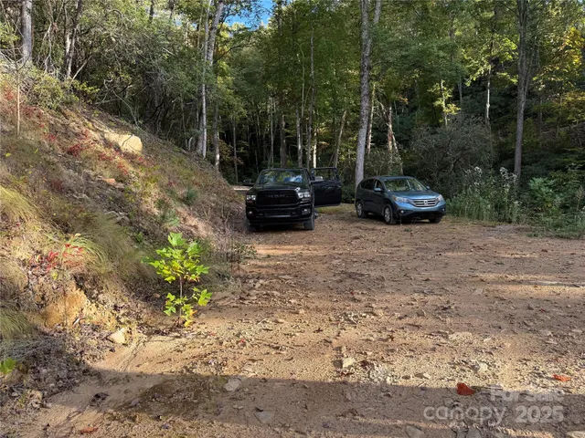 a view of backyard with couple of trees