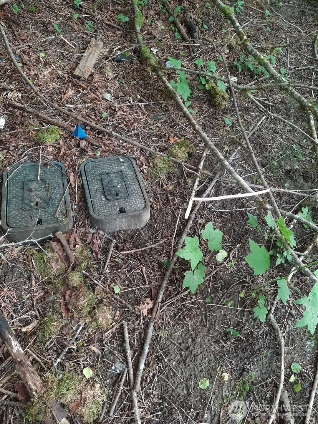 0 Center Street Concrete, WA 98237 - Photo 4 of 7 a aerial view of a yard with table and chairs