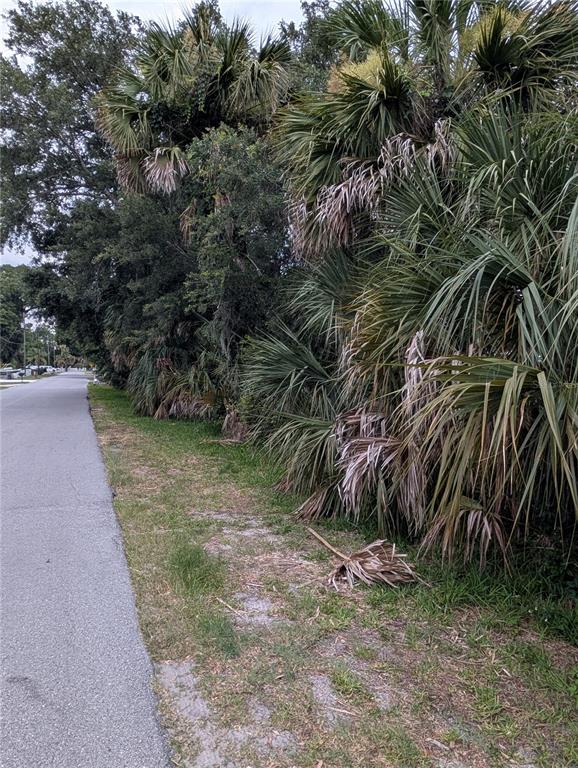 Undisclosed Address Weeki Wachee, FL 34607 - Photo 8 of 8