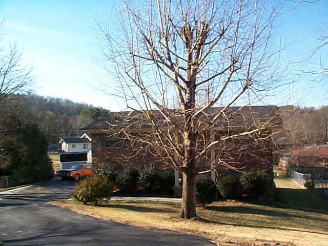 6239 Harrison Ooltewah Road Harrison, TN 37341 - Photo 1 of 1 Primary Photo