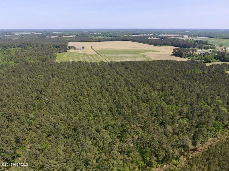 33-ac Tedder Road Lucama, NC 27851 - Photo 13 of 33 12
