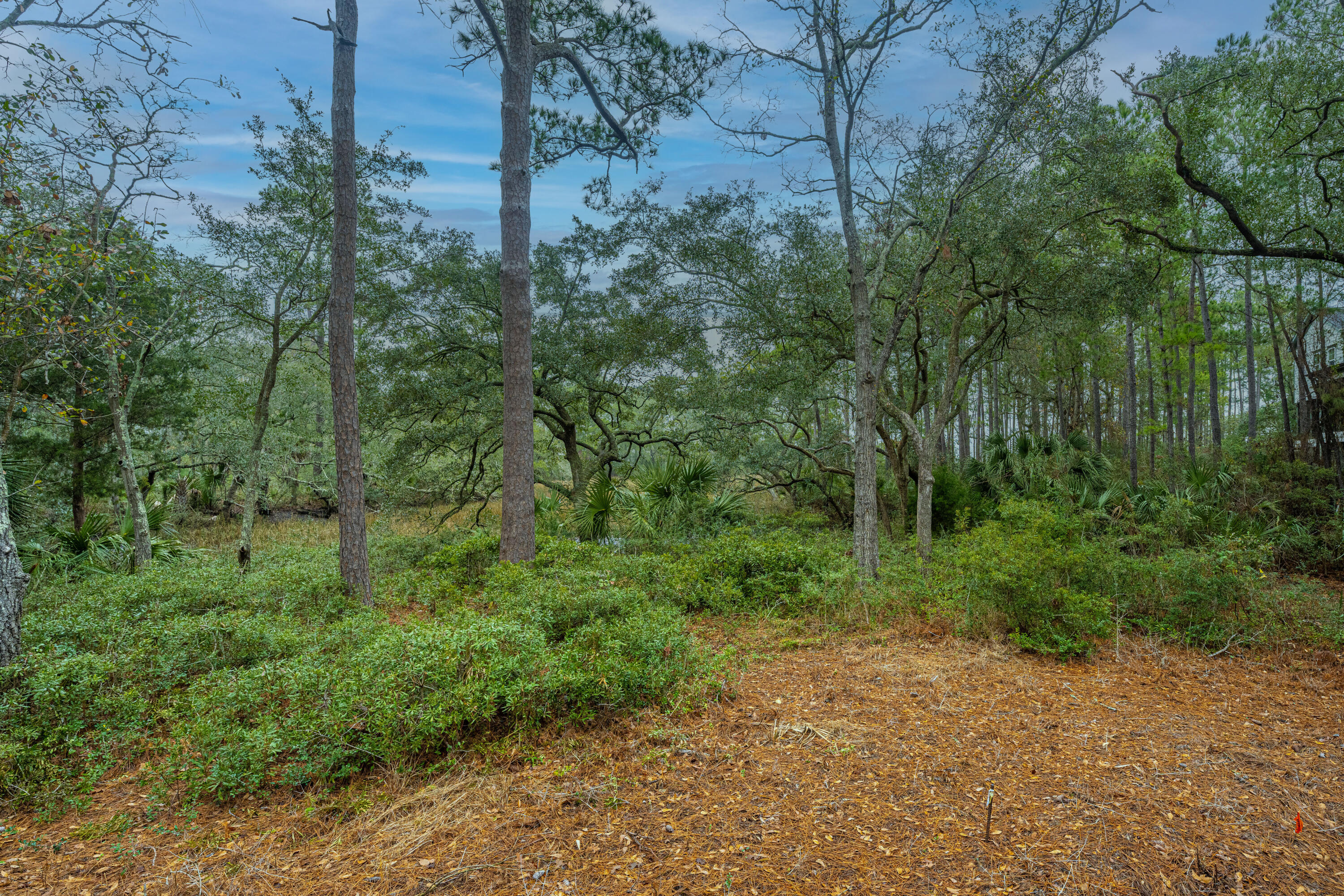 261 Slipper Shell Court Mount Pleasant, SC 29464 - Photo 30 of 41 261SlipperShellCir44