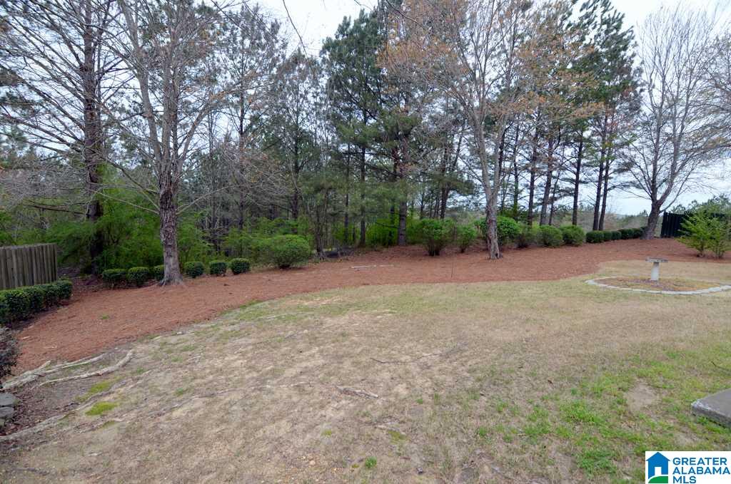 227 Grande View Parkway Alabaster, AL 35114 - Photo 32 of 49