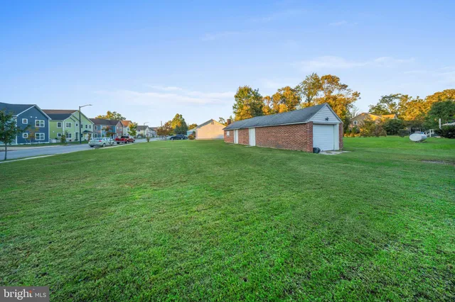 a view of a large garden with plants and large trees
