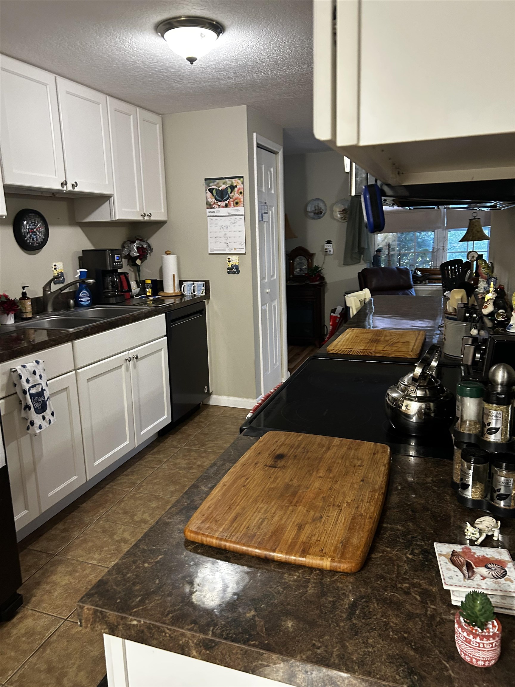 896 Palermo Road St. Augustine, FL 32086 - Photo 3 of 9 Gallery Image 3