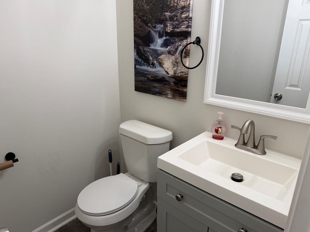 463 Roberts Road Blairsville, GA 30512 - Photo 12 of 22