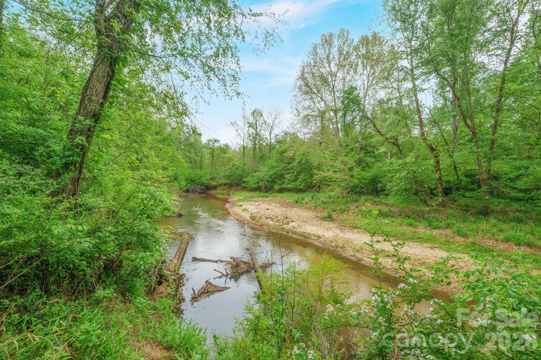 2517 Horseshoe Road Westfield, NC 27053 - Photo 36 of 45