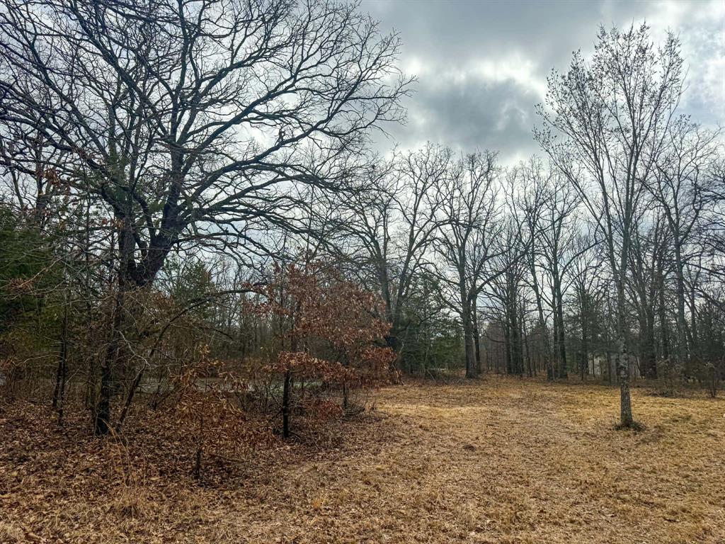 9696 Fm-515 Alba, TX 75410 - Photo 14 of 26 a backyard of a house with lots of green space