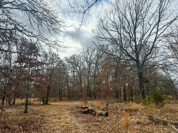 a view of open space with trees