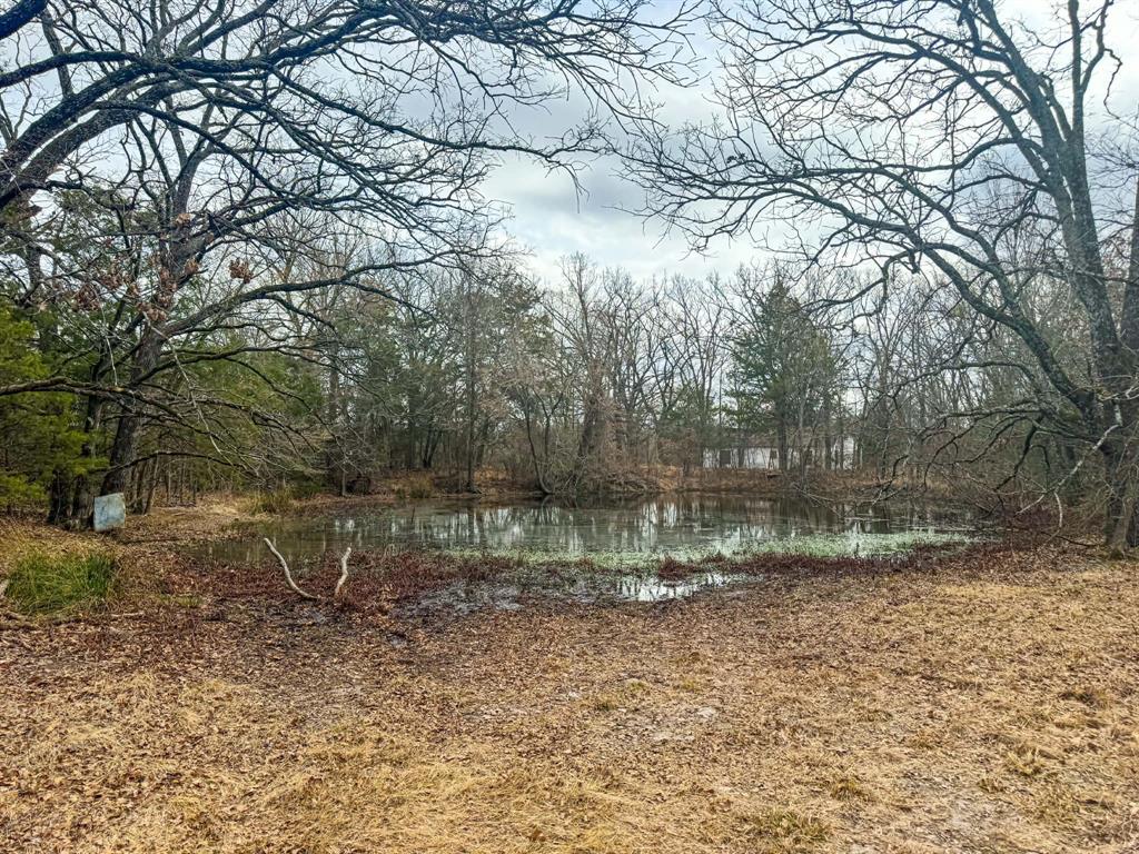 9696 Fm-515 Alba, TX 75410 - Photo 16 of 26 a backyard of a house with lots of green space