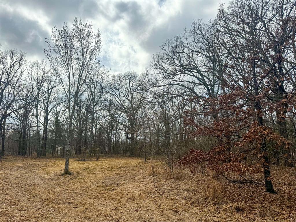 9696 Fm-515 Alba, TX 75410 - Photo 18 of 26 a backyard of a house with lots of green space