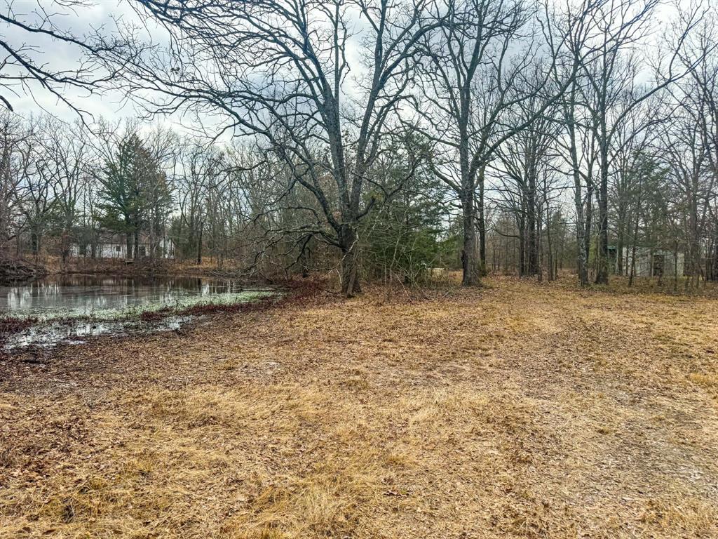 9696 Fm-515 Alba, TX 75410 - Photo 19 of 26 a backyard of a house with lots of green space