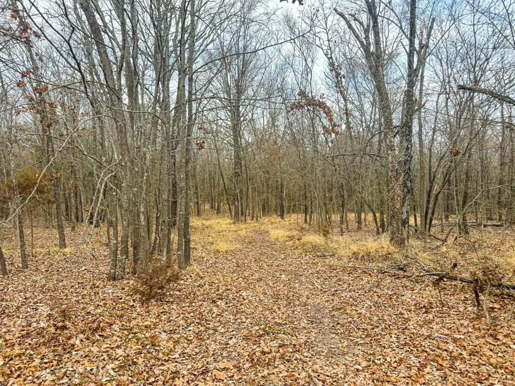 9696 Fm-515 Alba, TX 75410 - Photo 20 of 26 a view of back yard
