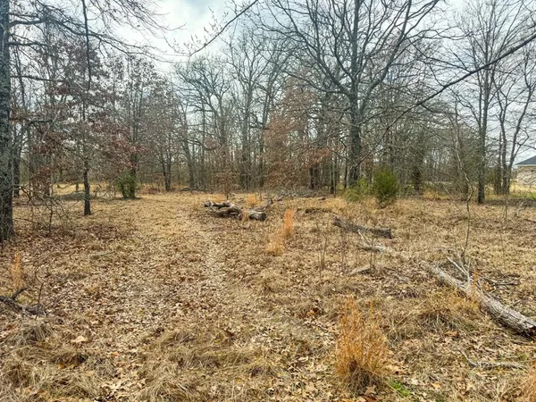 a view of a yard with trees