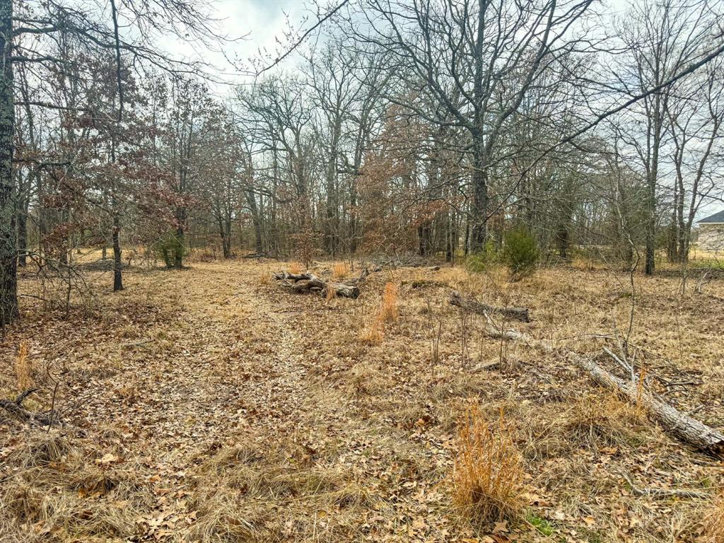 9696 Fm-515 Alba, TX 75410 - Photo 21 of 26 a view of a yard with trees